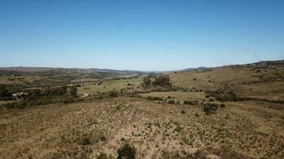 Chacra, 0 Dormitorios, 0 baños, 0 m2